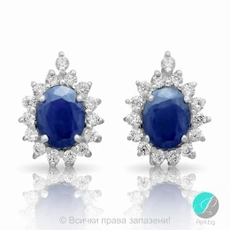 Payton - Сребърни обеци със Сапфир (Корунд) и Цирконий 8833390-Естествени камъни