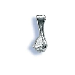 Crystal - Сребърна висулка с Цирконий 184123-Сребърни бижута